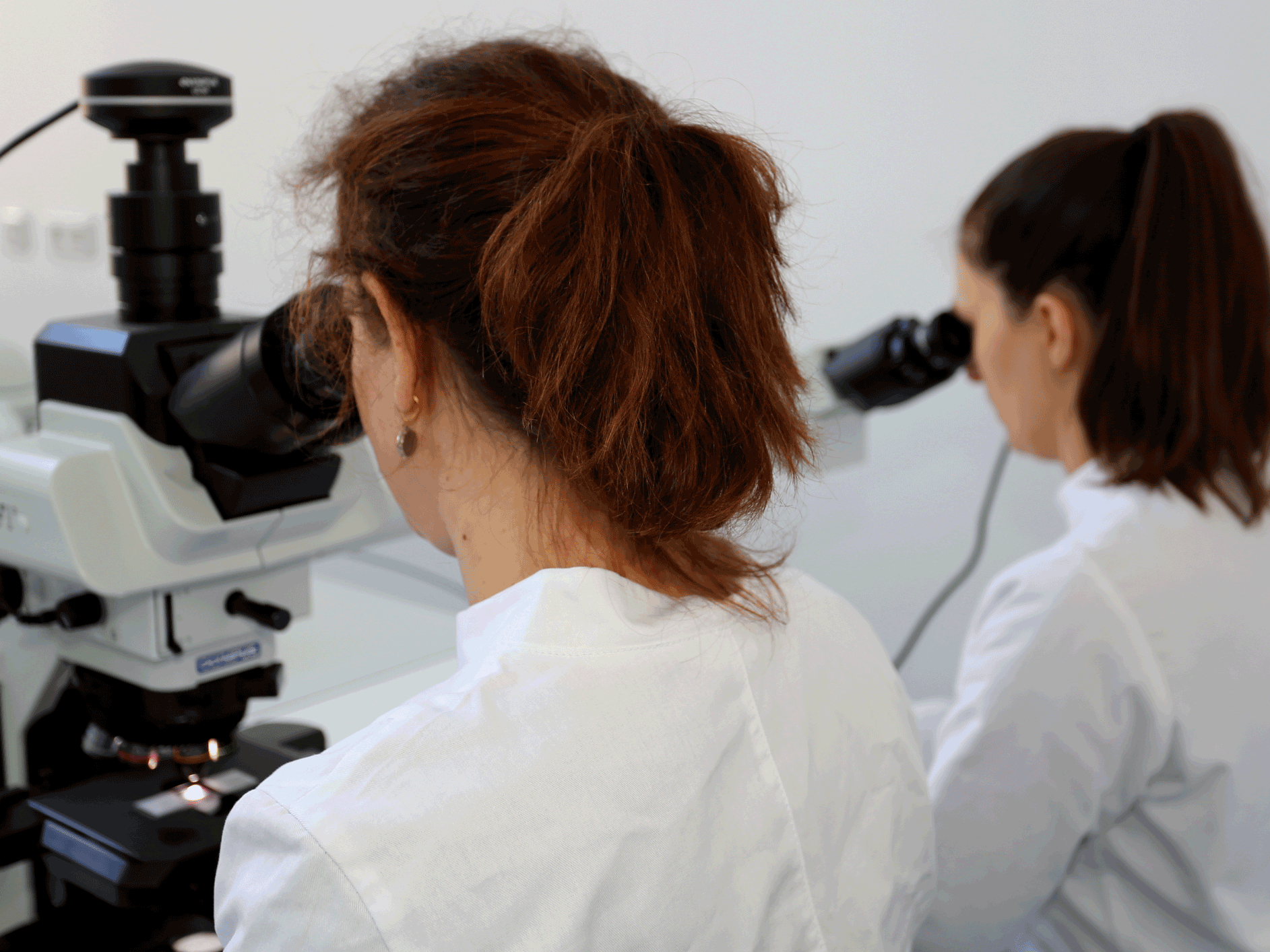 Zwei Personen in weißen Laborkitteln arbeiten nebeneinander an Mikroskopen.