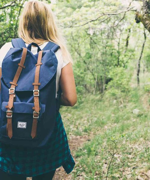 Person mit blauem Rucksack wandert auf einem Waldweg durch grüne Natur.